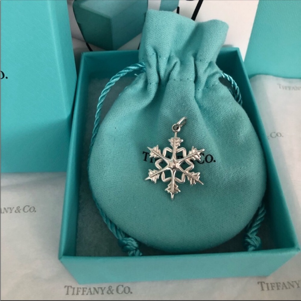 Tiffany & Co Large Snowflake Pendant